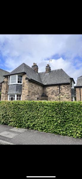 Private Bedroom in Detached Home in Newington